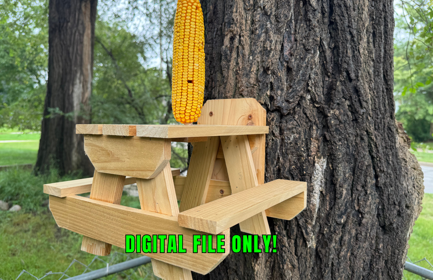 Picnic Table Squirrel Feeder Cut List Diagram (Digital File Only)